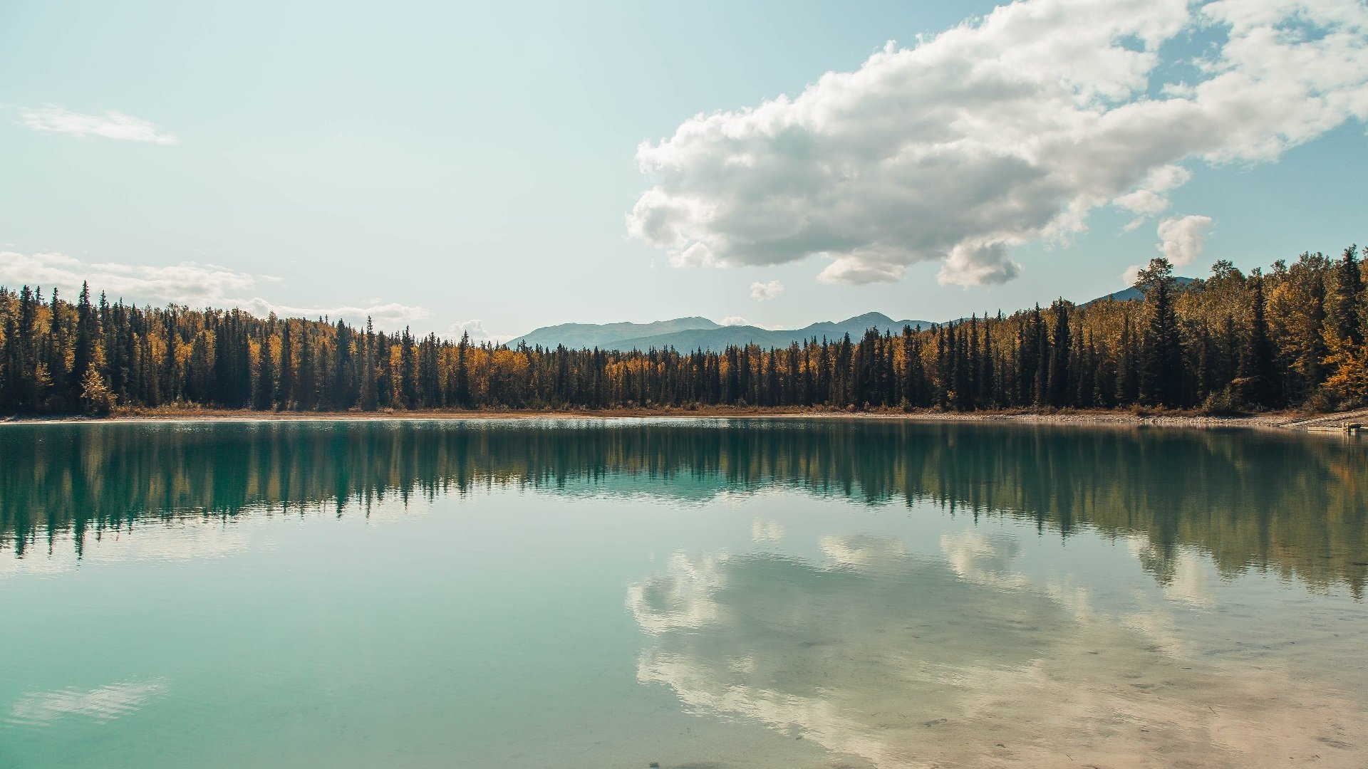 技术训练体系朝规范化、专业化推进，技术训练的要求