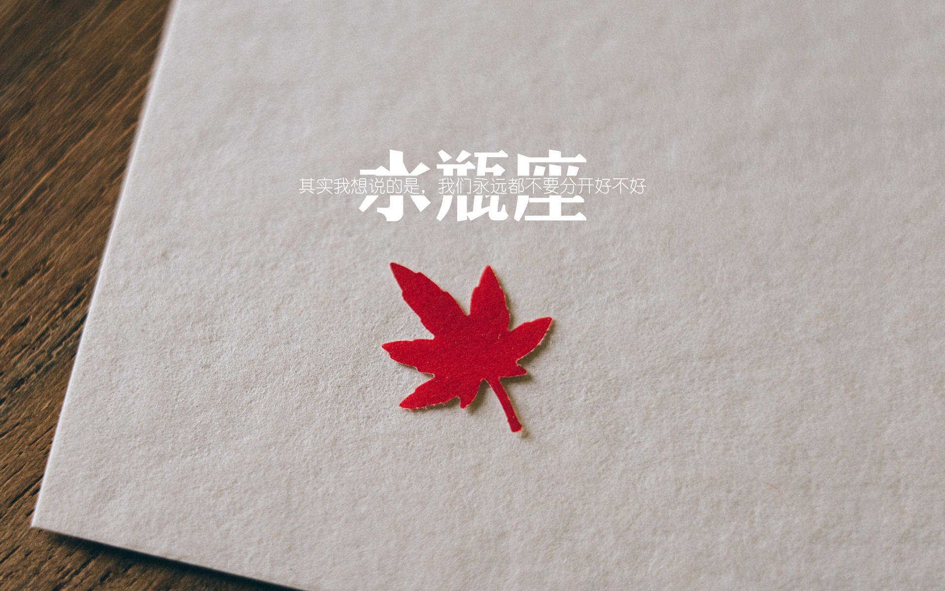 职业球员参与社会公益活动树立良好社会形象